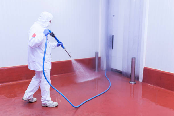 Best Warehouse Cleaning  in Royal Hawaiian Estates, HI